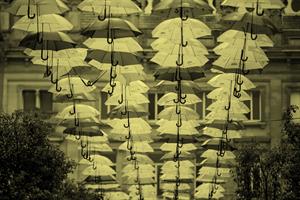 umbrella display