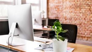 Desktop computer with a potted plant next to it