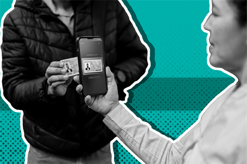 Person scanning an ID with a phone