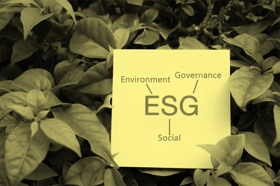 ESG lettering in a bush